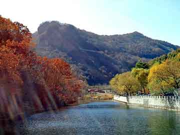 安徽省太湖縣公園,，綠意盎然的自然之美