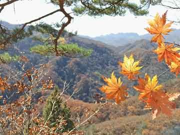 安徽安慶太湖縣退役安置,，溫暖歸途，再創(chuàng)輝煌